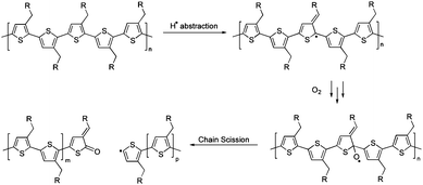 Proposed mechanism of chain scission.