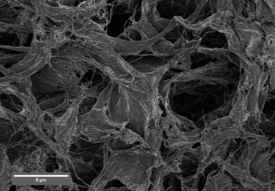 
            SEM image of native NFC aerogel prepared by vacuum freeze-drying from an aqueous gel. The aerogel consists of long native cellulose I nanofibrils that aggregate to porous sheet-like structures. The sheets are mutually connected to form a network skeleton and between the sheets there are micrometre range pores.