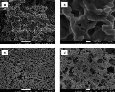 
            SEM images of the dissolved, stearoyl modified and regenerated cellulose aerogel (a and b) and dissolved and regenerated unmodified cellulose aerogel (c and d). The scale bar is 1 μm in (a) and (c) and is 100 nm in (b) and (d).