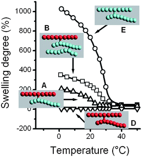 Swelling degree versus temperature for systems A, B, D and E. Swelling degree obtained as indicated in the Experimental section.