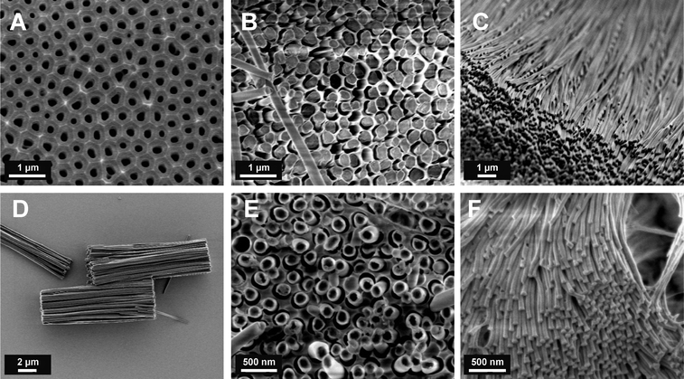 
          Scanning electron micrographs. (A) Unfilled AAO template; cross-linked polyPFPMA nanorods after partial (B) and complete (C) etching of the AAO template; (D) bundles of cross-linked polyPFPVB nanorods; (E) polyPFPVB nanotubes after partial etching of the AAO template; (F) array of polyPFPVB nanorods (average diameter 40 nm).
