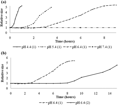 (a) Relative size distribution of polymersomes composed of 1 as a function of time in hours upon incubation in buffers of different pH. (b) Relative size distribution of polymersomes composed of 1 and 2 at pH 6.4 as a function of time in hours.