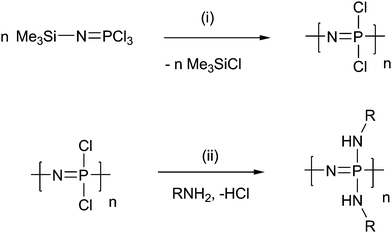 
          Living polymerisation of poly(organo)phosphazenes. Reagents and conditions: (i) PCl5, CH2Cl2, RT; (ii) NEt3, THF, RT.
