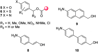 Benzyl 5–7, cinnamyl 8, naphthyl 9 and biphenyl 10 based self-immolative linkers.23,25,26