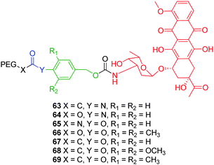 Self-immolative PEG-doxorubicin conjugates 63–69.91