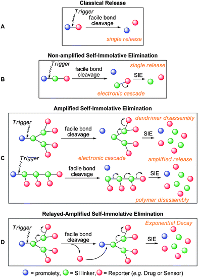 (a) (Bio)chemical cleavage of a two-component pro-moiety, b) self-immolative elimination of a three component pro-moiety, c) amplified disassembly of self-immolative polymeric promoieties, d) relayed amplified self-immolative elimination.