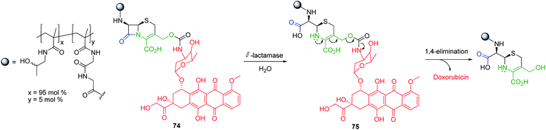 
              β-Lactamase mediated self-immolative elimination of cephalosporin based HPMA polymer conjugate 74.98