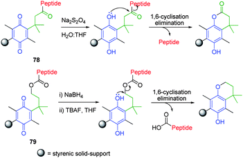 Reductive cyclisation elimination of oligomeric peptides from dihydroquinone based styrenic solid supports 78 and 79.103,104