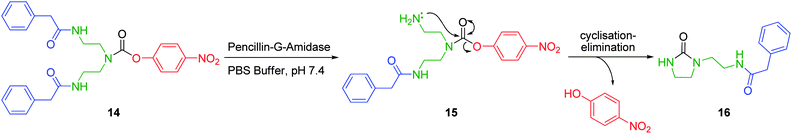 PGA mediated cyclisation elimination of 4-nitrophenol from first generation diethylenetriamine based dendron 14.27