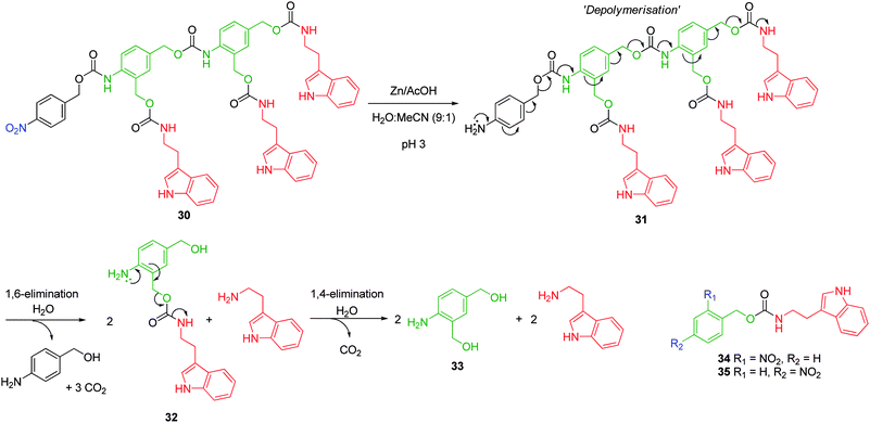 Self-immolative disassembly of 2,4-bis(hydroxymethyl)aniline based AB2 oligomer 30, inset – monomers 34 and 35.48