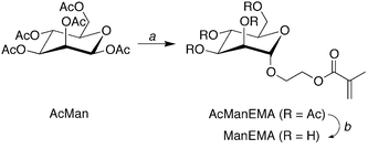 Synthesis of 2-(α-d-mannopyranosyloxy)ethyl methacrylate (ManEMA). Reagents and conditions: (a) 2-hydroxyethyl methacrylate, BF3·OEt2, dry CH3CN, r.t. and (b) NaOCH3, dry CH3OH.