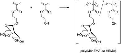 
            Radical copolymerization of ManEMA with HEMA. Reagents and conditions: AIBN, DMF, N2, 60 °C.