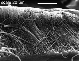 Poly(arylene thioether ketone) microfibrils synthesized within a porous alumina membrane8b (reprinted with permission from ref. 8b, Copyright 2010 American Chemical Society).