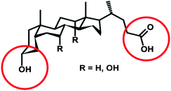 General structure of bile acids. The common linker-bearing groups are circled.