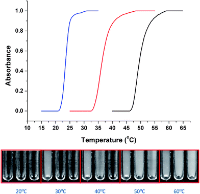 Cloud point analysis of sCT–polymer conjugates as a function of temperature. sCT–(DEGMEMA) (blue trace, left tube), sCT–(DEGMEMA-co-TEGMEMA) (red trace, middle tube), sCT–(TEGMEMA) (black trace, right tube).