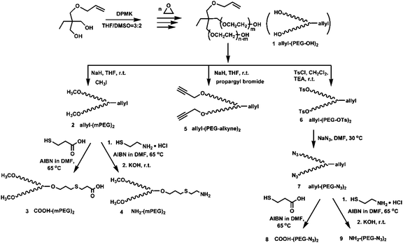 Synthesis of branched PEG (allyl-(PEG-OH)2) and its derivatives