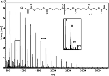 MALDI-TOF-MS spectrum of telechelic dMA-PEA-4. (I) Dimethacrylate product, (II) monomethacrylate functionalized product with an acid end group, (III) monomethacrylate functionalized product with a sodium carboxylate end and (IV) cyclic. Double arrow represents one repeating unit (172 Da).