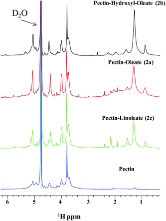 
          1D proton NMR spectra of pectin and its derivatives.