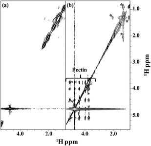 Comparison of 2D [1H, 1H] NOESY spectra (mixing time 200 ms) of oleic acid (a) and pectin-oleate (b).