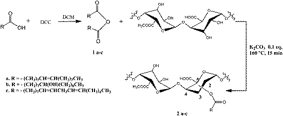 Synthetic strategy of pectin functionalization.