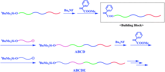 Synthesis of ABCD, ABCDE, and higher block polymers by the methodology utilizing chain-end-(α-phenyl acrylate)-functionalized AB diblock copolymer as the building block.