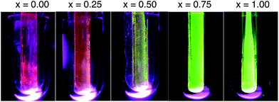 Photographs of network polymers in a vacuum excited at 365 nm with 1.0 mW cm−2 at 77 K. From left to right, GNP (x = 0.00), SGNP (x = 0.25), SGNP (x = 0.50), SGNP (x = 0.75) and SNP (x = 1.00) by nominal molar fraction.