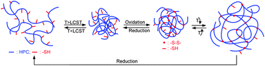 The fabrication of HPC nanogels from HPC–SH and the dual-stimuli sensitivity.