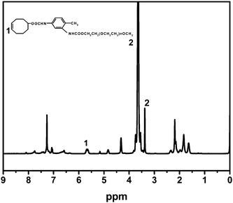 
          1H-NMR
          spectrum of cyclooctene–PEG macromonomer.