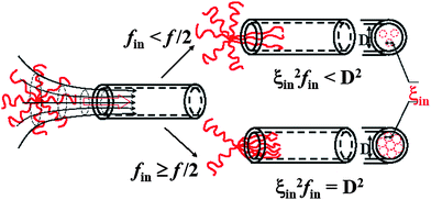 Schematic of how a star chain enters a nanopore under two different situations; namely, f ≥ fin ≥ f/2 and f/2 ≥ fin ≥ 1.