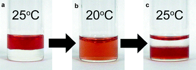 
            Extraction of Cyt. c from aqueous to IL1 phase by changing the temperature by 5 °C: (a) an aqueous solution of Cyt. c was added to IL1 at 25 °C; (b) the IL/aqueous solution at 20 °C; (c) the solution was heated again to 25 °C to separate both phases. The red colour at the top of the phase is merely a reflection of the IL/water interface.