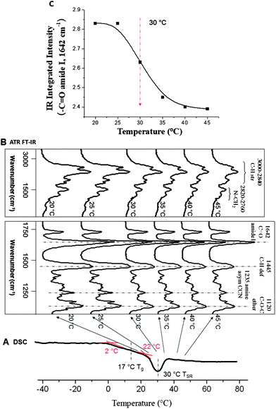 
          DSC curves (A) and ATR FT-IR spectra (B) of p(AcrNPP/EEMA) copolymer films (weight ratio = 1 : 1). (C) Integrated area of –CO amide group at 1642 cm−1 plotted as a function of temperature.