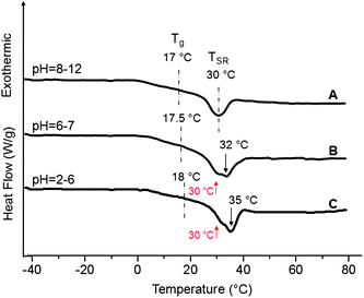 
          DSC thermograms of p(AcrNPP/EEMA) copolymer films (weight ratio = 1 : 1) recorded as a function of pH; Trace A—pH = 8–12; B—pH = 6–7; C—pH = 2–6.