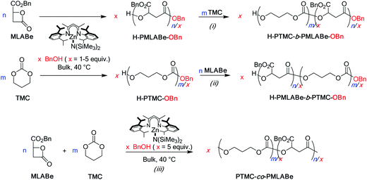 Schematic representation of the syntheses of PMLA-b-/co-PTMC copolymers either from (i and ii) the sequential or (iii) simultaneous copolymerization of MLABe and TMC.
