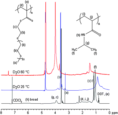 
            1H NMR spectra recorded for the branched copolymer PEGMA(1K)5/NIPAAm95–EGDMA15–DDT15 at 20 mg mL−1 in CDCl3 at 25 °C and D2O at 25 °C and 60 °C.