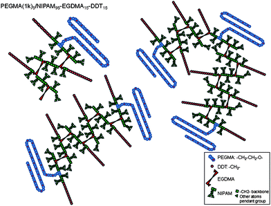 Schematic representation of the branched copolymer PEGMA(1K)5/NIPAAm95–EGDMA15–DDT15 taking only into consideration the molar ratio: several possible structures are proposed, varying by their molecular weight (N.B. this is a cartoon representation which does not reflect the real composition of the sample as free radical polymerisation is likely to lead to heterogeneous samples in terms of the molecular weight and architecture).