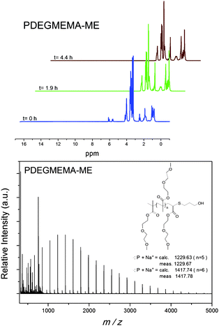 
            1H NMR spectrum (top) and MALDI-ToF MS (bottom) of 2-mercaptoethanol conjugated poly(diethylene glycol) methyl ether methacrylate catalyzed with hexylamine.
