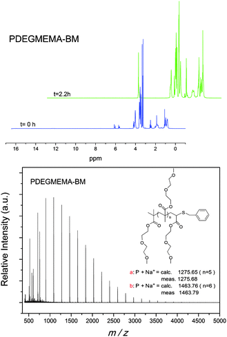 
            1H NMR spectrum (top) and MALDI-ToF MS (bottom) of benzyl mercaptan conjugated poly(diethylene glycol) methyl ether methacrylate catalyzed with hexylamine.
