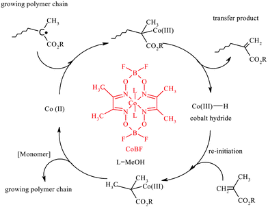 General mechanism for Catalytic Chain Transfer Polymerization (CCTP).