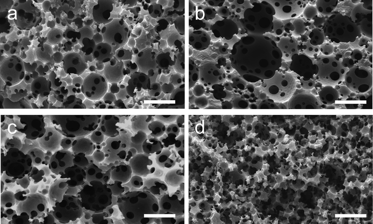 
          SEM images of thiol–ene and thiol–yne polyHIPE materials: (a) sample TE-75; (b) sample TE-80; (c) sample TY-75; (d) sample TY-80. Scale bar = 20 μm. See Table 2 footnote for sample codes.