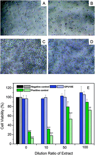 (A) Light microscopy images of 3T3 cells before incubation with polymer extracts, compared with those of cells incubated with undiluted extracts (100 mg mL−1) of (B) positive control (latex rubber), (C) negative control (Texin®PUR) and (D) GPU10E for 48 h (100×). (E) Cell viability measured by MTT assay after 48 h (filled bars) and 96 h (patterned bars) of incubation with different dilutions of polymer extracts. Statistical significance: *p < 0.05; **p < 0.01; ***p < 0.005.
