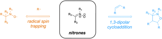 The versatility of nitrones in performing radical spin trapping and 1,3-dipolar cycloaddition reactions.