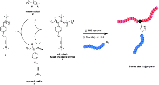 Schematic illustrating the tandem ESCP/NMRC–CuAAC strategy in generating miktoarmed star polymers. (I denotes the polymer end group resulting from the employed initiator and R represents the monomer side group—COOR for isobornyl acrylate or phenyl for styrene). Reproduced with permission from ref. 16.