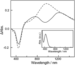 Difference absorption spectra of the ancanc-PBS8T film on ITO biased at 0.6 V (solid) and 0.9 V (dashed), referred to the spectrum of the neutral ancanc-PBS8T film (inset).