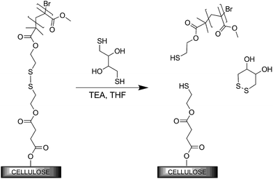 Selective graft cleavage of the PMMA-modified cellulose substrate, leaving the substrate intact.