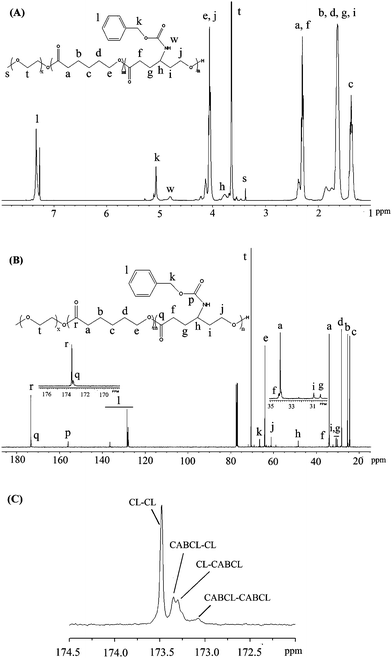 1H NMR (A) and 13C NMR (B) spectra of mPEG-b-P(CL-co-CABCL) (Table 1, entry 3) in CDCl3 and an expanded 13C NMR spectrum (C) for the carbonyl carbon region (between 172.5–174.5 ppm) showing four resonance peaks corresponding to CL–CL, CABCL–CL, CL–CABCL, and CABCL–CABCL.