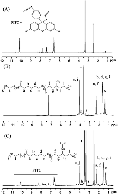 1H NMR spectra of FITC in DMSO-d6 (A), mPEG-b-P(CL-co-ACL) in CDCl3 (B), and mPEG-b-P(CL-co-ACL)/FITC in DMSO-d6 (C). (Table 1, entry 3).