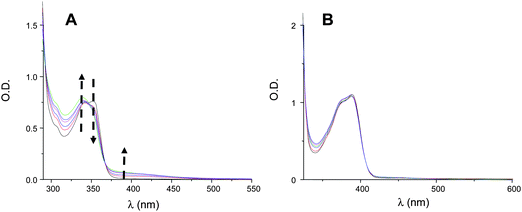 Photolysis of XT–Si (A) and TX–Si (B) for a similar light absorption in acetonitrile upon a laser irradiation at 355 nm (5 mJ per pulse); each spectrum is separated by 15 laser shots.