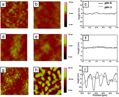 
          AFM surface height images in air and the representative cross-section of various polymer brush systems following treatments with buffers of different pH (scan area = 1 × 1 μm2). (a) PNIPAM homopolymer brush after immersion in pH = 3 buffer, (b) PNIPAM homopolymer brush after immersion in pH = 8 buffer, and (c) the corresponding cross-sections; (d) PMAA homopolymer brush after immersion in pH = 3 buffer, (e) PMAA homopolymer brush after immersion in pH = 8 buffer, and (f) the corresponding cross-sections; (g) PNIPAM/PMAA-20 min mixed brush after immersion in pH = 3 buffer, (h) PNIPAM/PMAA-20 min mixed brush after immersion in pH = 8 buffer, and (i) the corresponding cross-sections.