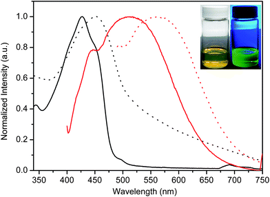 Normalized absorbance (black) and fluorescence (red) spectra of 6 (Mn = 145.8 kg mol−1) in dichloromethane () and thin film (⋯). Inset: images of 6 in dichloromethane under ambient light (left) and irradiated with at 325 nm UV lamp (right).