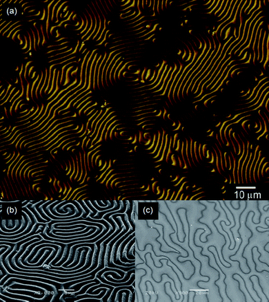 Surface images of poly(furan-fluorene-furan) (PFFLF) prepared by electrochemical polymerization in the cholesteric liquid crystal solution containing a chiral photo-isomerization dopant (AZO*). (a) Differential interference contrast optical microscopic (DIM) image of PFFLF. (b) Scanning electron microscopic (SEM) image of PFFLF. (c) SEM image of the polymer obtained after irradiation by UV light.